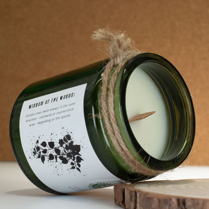 Vela de soja Greenman Woodwick - Twilight Vine