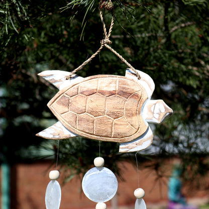 Talla de Tortuga en Blanco Lavado y Gota Natural