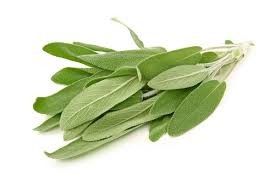 Champú Sólido - Salvia y Enebro