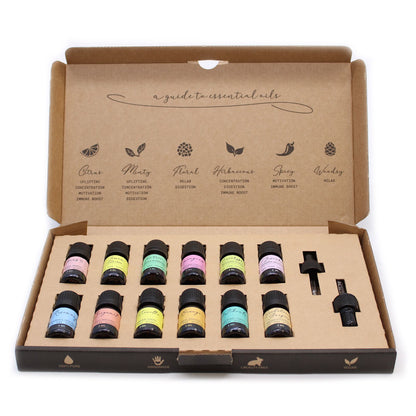Coffret d'aromathérapie essentiel - Top 12