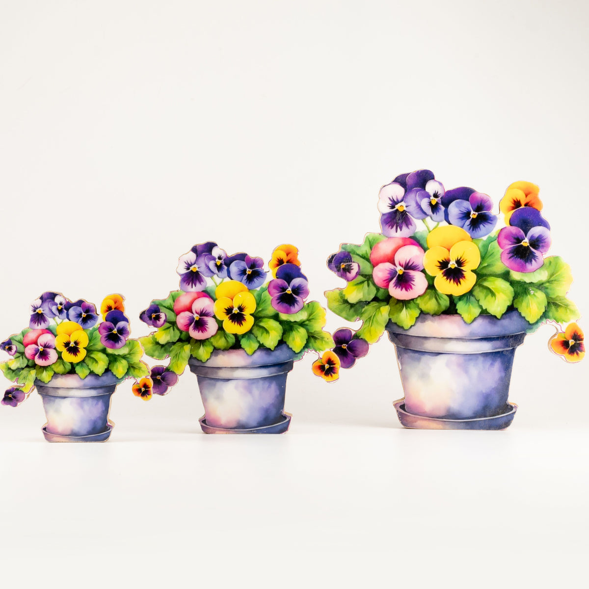 Plantas decorativas de madera - Pensamiento grande