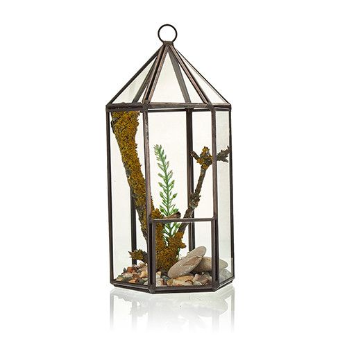 Terrario Vidrio Linterna