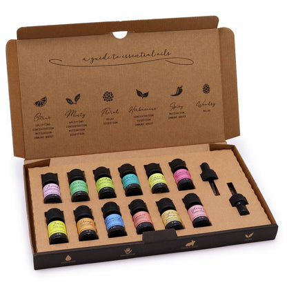 Coffret d'aromathérapie essentiel - Top 12