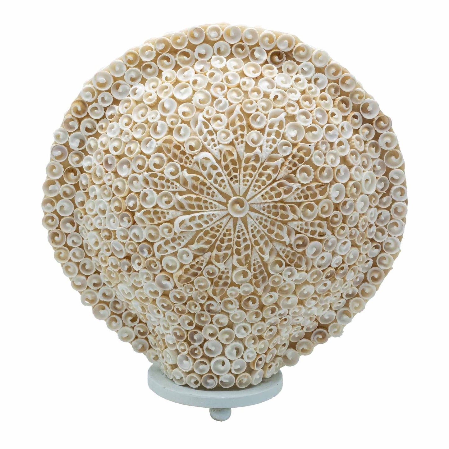 Boho Muschellampe - Große runde Muschel - 30 cm