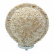 Lampe coquillage Boho - Grand coquillage rond - 30 cm