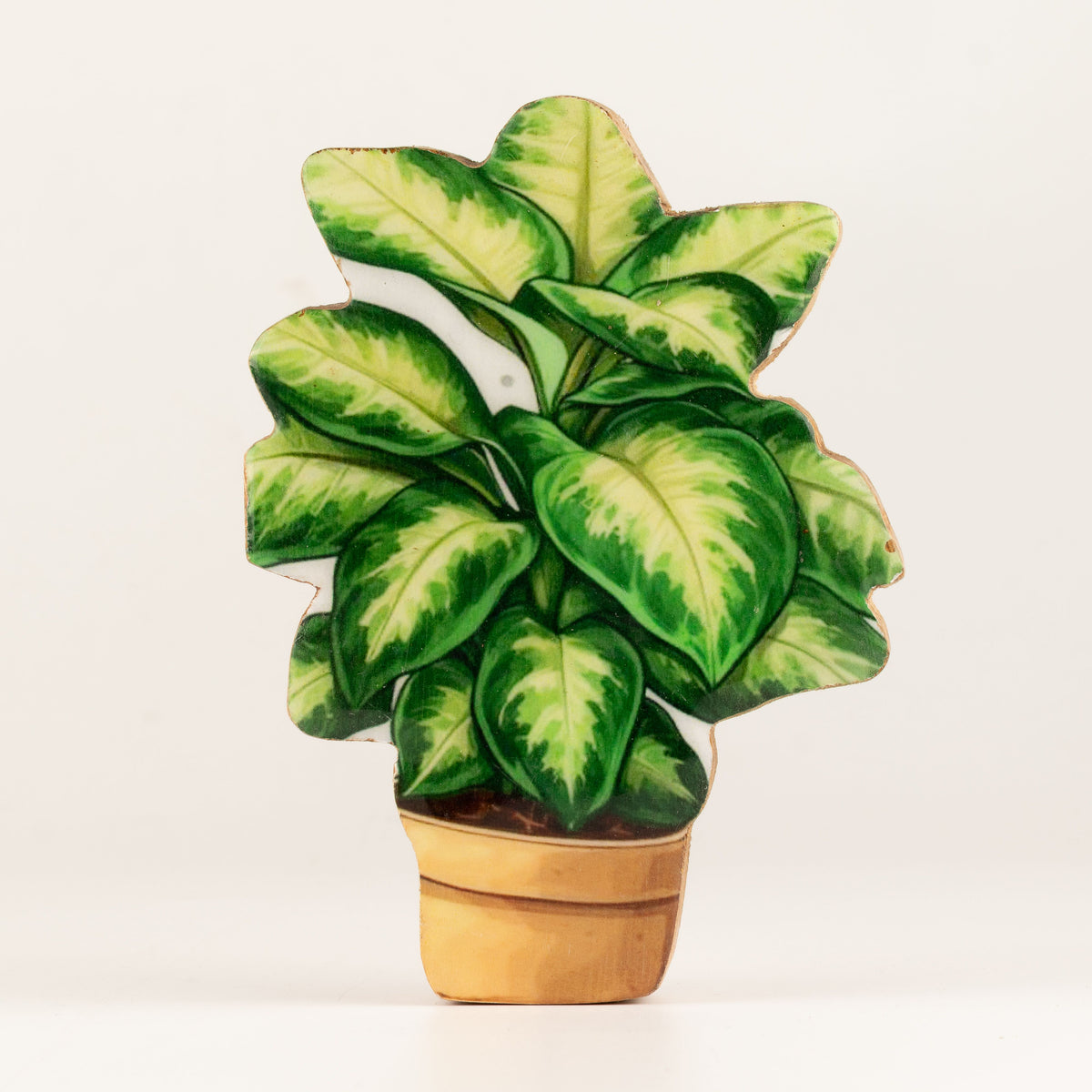 Plantas decorativas de madera - Mini planta de la selva