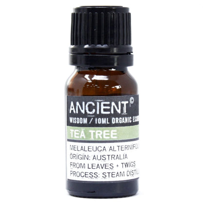 Aceite Esencial Orgánico de Árbol de Té