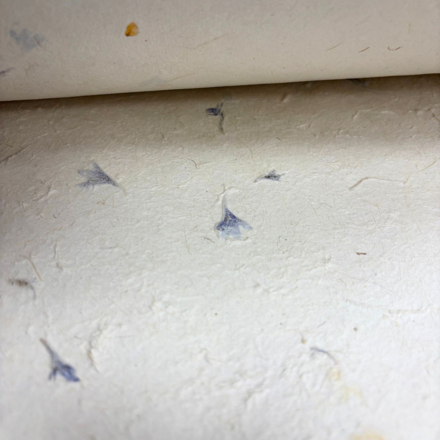 Papier cadeau fait main Lokta - Bleuet