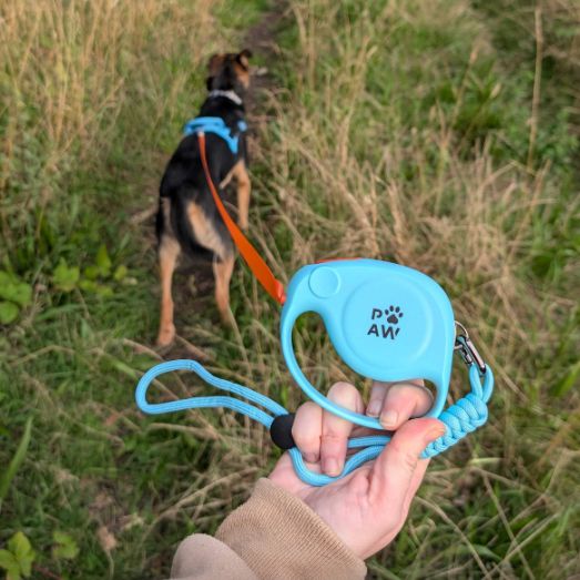 Paw Pet Leash - Correa de elefante - Azul - 2m