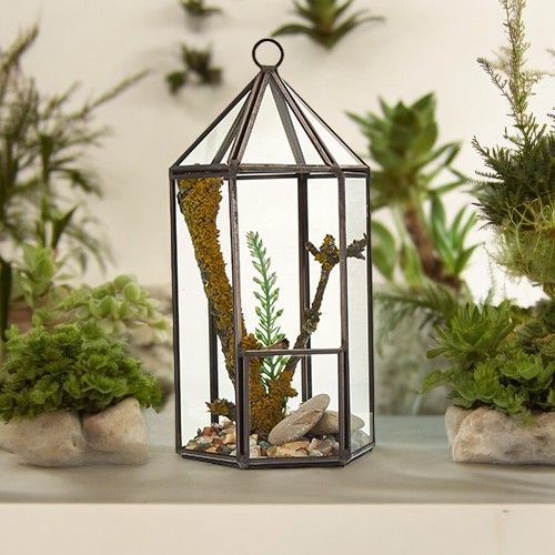 Terrario Vidrio Linterna