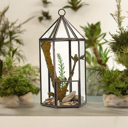 Terrario Vidrio Linterna
