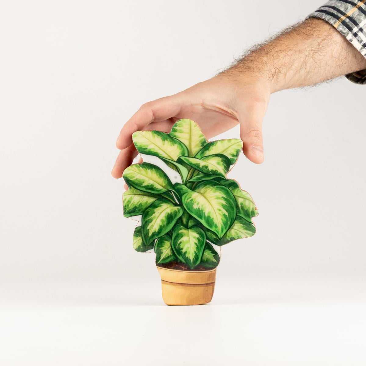 Plantas decorativas de madera - Mini planta de la selva