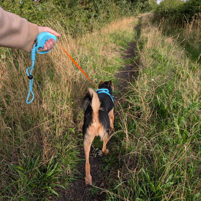Paw Pet Leash - Correa de elefante - Azul - 2m
