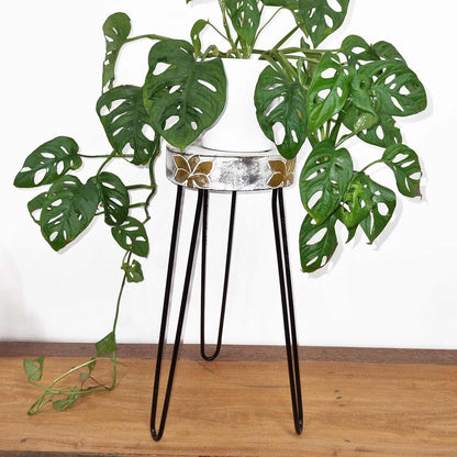 Soporte para plantas de madera de Albasia - Blanqueado
