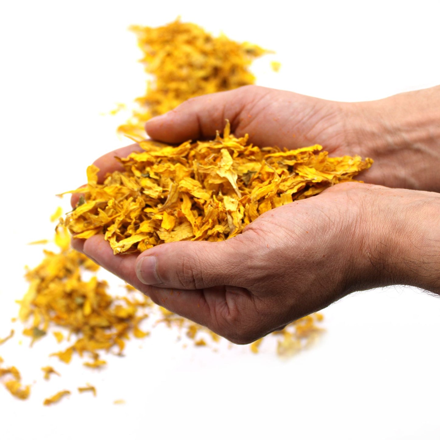Pétales de tournesol (0,5 kg)