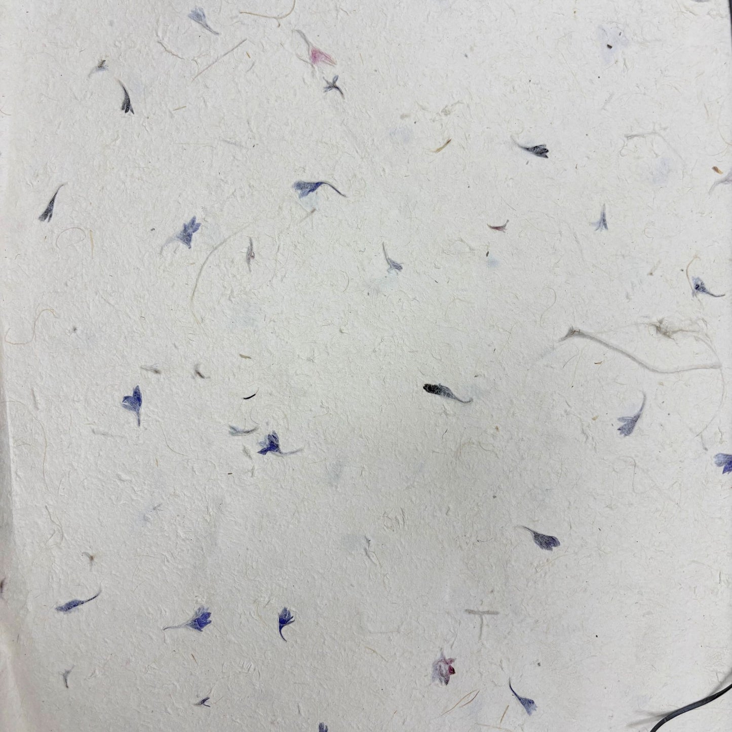 Papier cadeau fait main Lokta - Bleuet