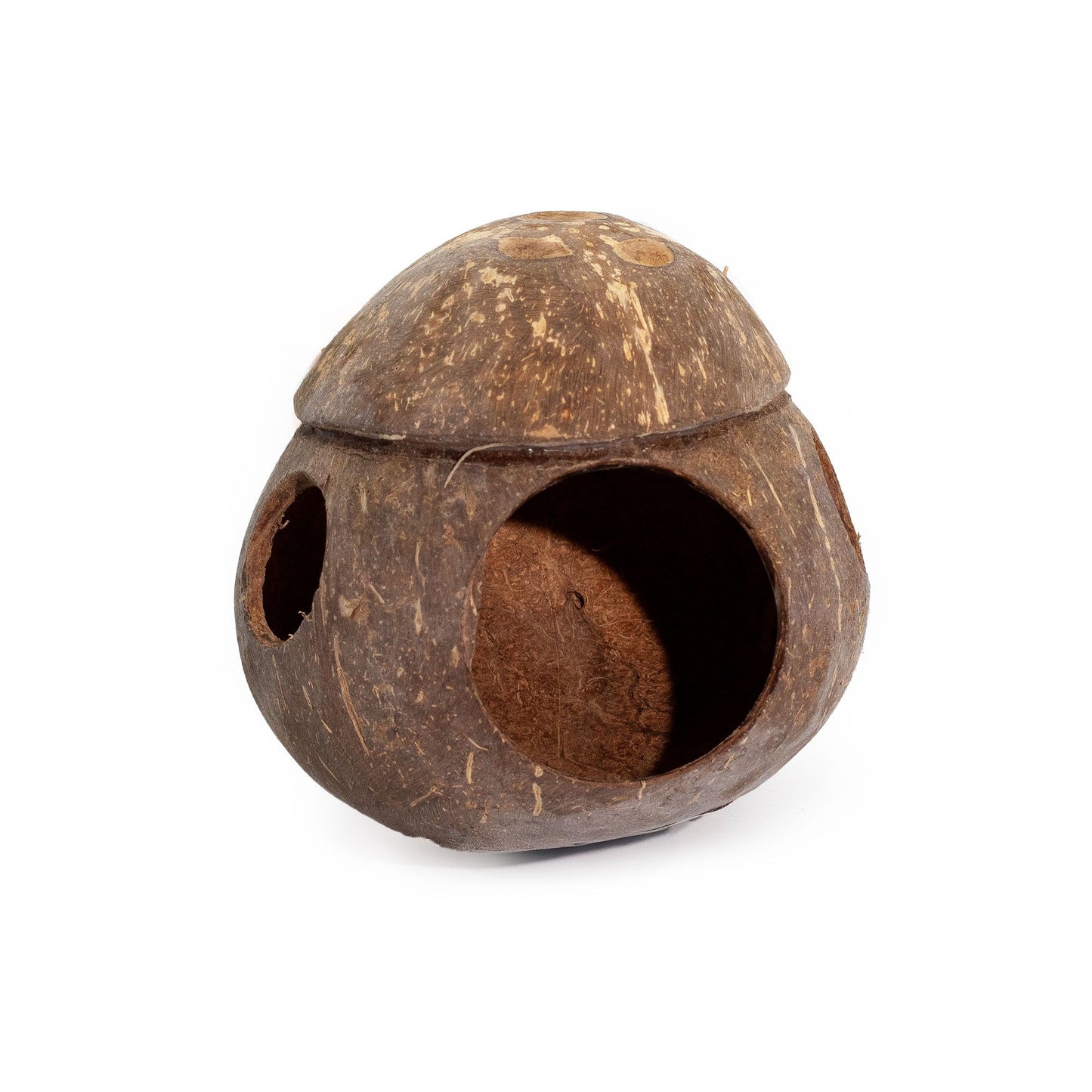 Casita para aves de coco natural - con gancho - 13 cm