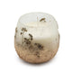 Velas en frascos de vidrio pequeños - Wildlight Woods