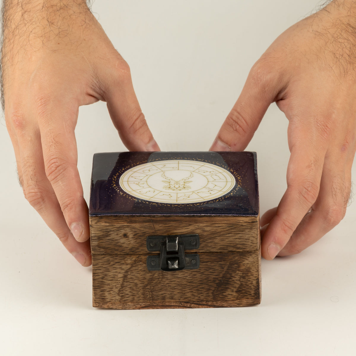 Pequeña caja esmaltada - Capricornio
