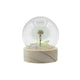 Gartenkuppel Floral Glow – 1 Löwenzahn – Batterie-LED