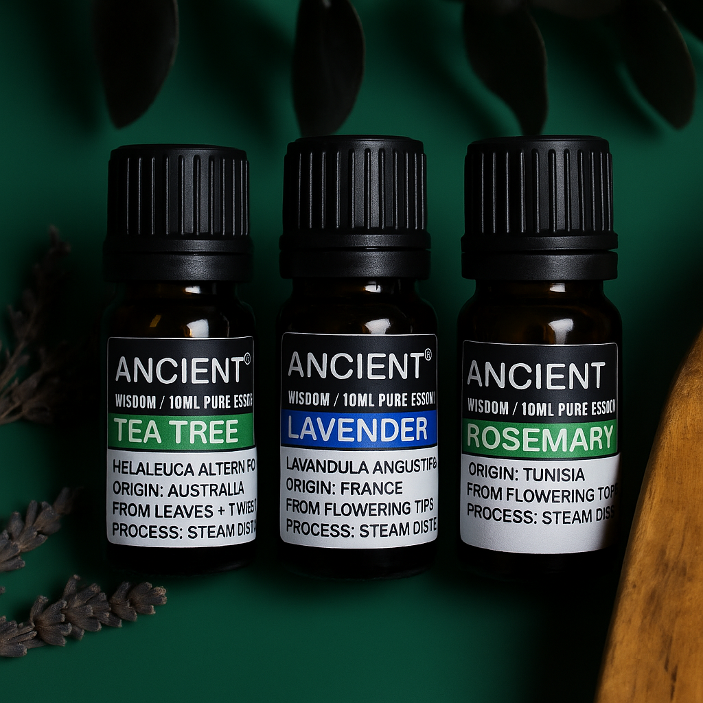 Wasserloses Aromatherapie-Set mit doppeltem Vernebler und 3 ätherischen Ölen à 10 ml