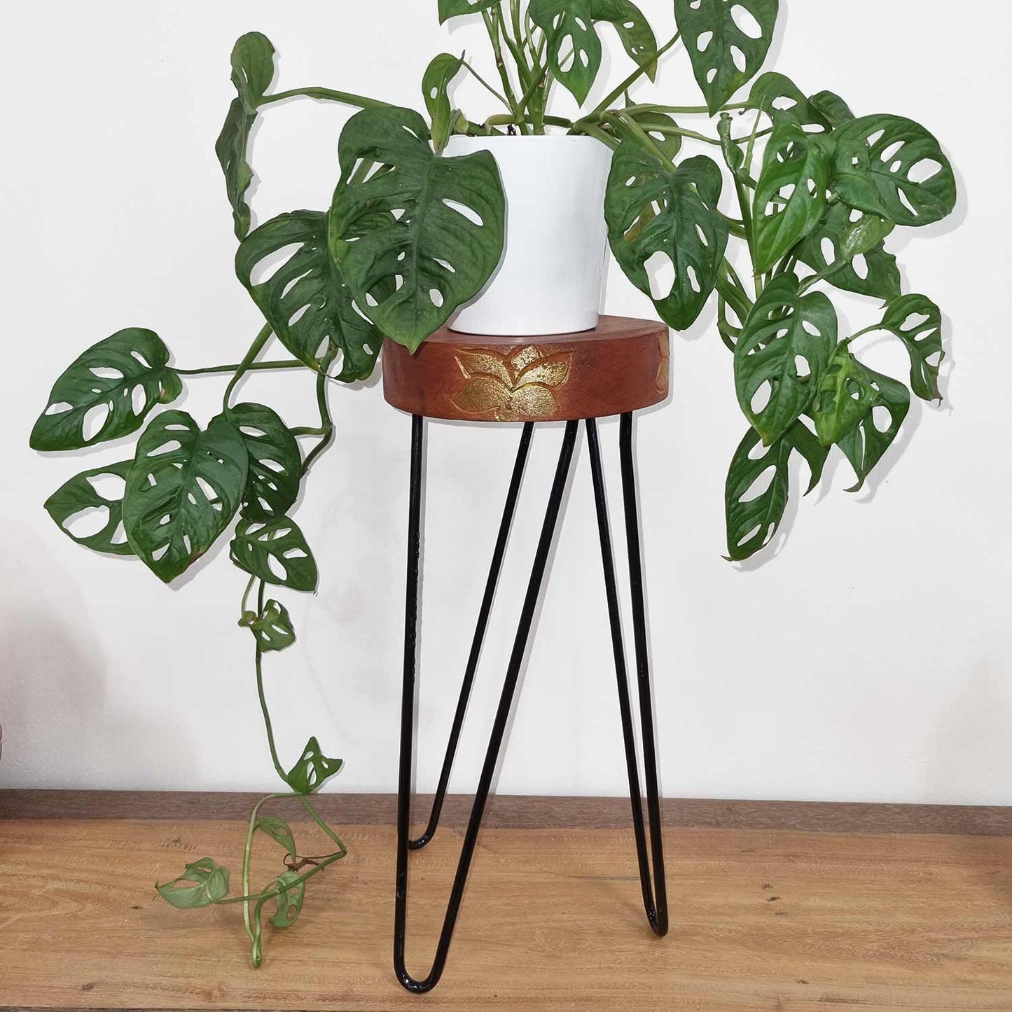 Soporte para plantas de madera de Albasia - Blanqueado