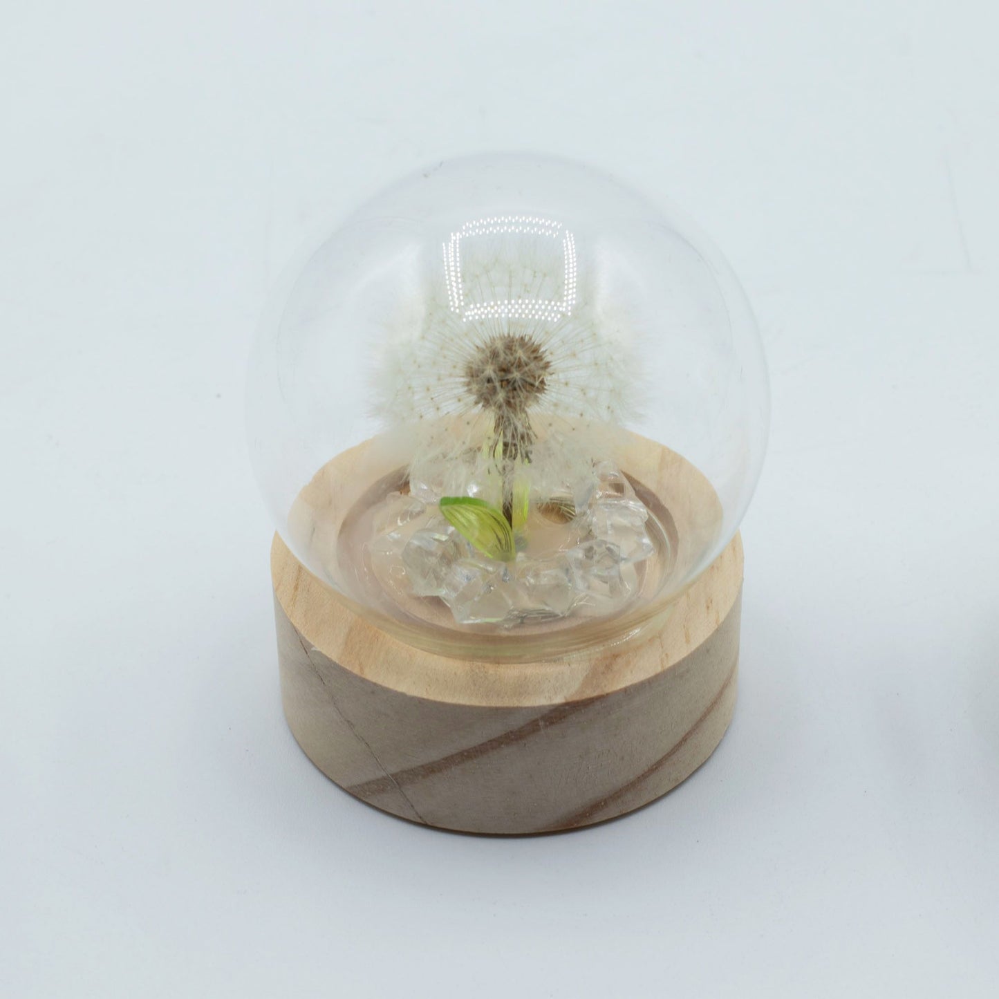 Gartenkuppel Floral Glow – 1 Löwenzahn – Batterie-LED