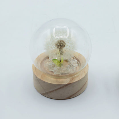Gartenkuppel Floral Glow – 1 Löwenzahn – Batterie-LED