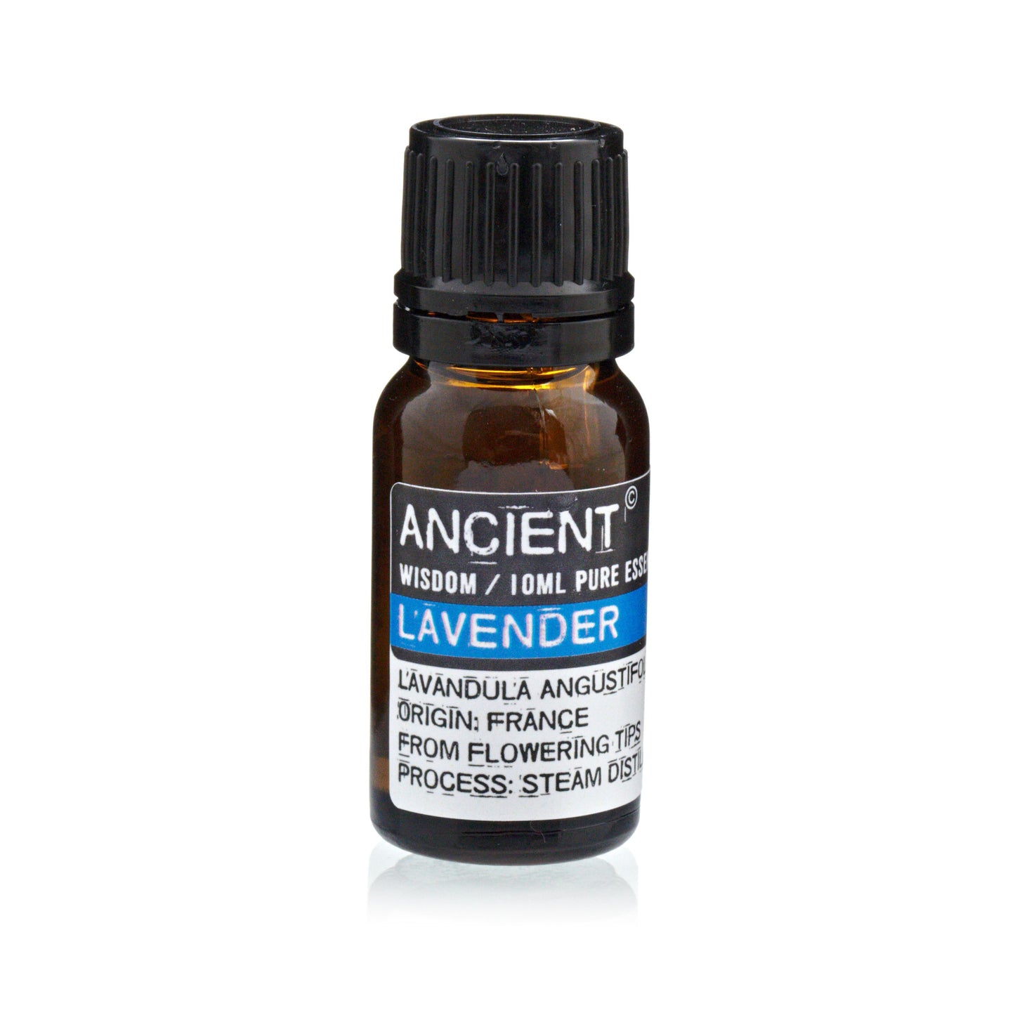 Wasserloses Aromatherapie-Set mit Doppelzerstäuber und 3 x 10 ml ätherischen Ölen