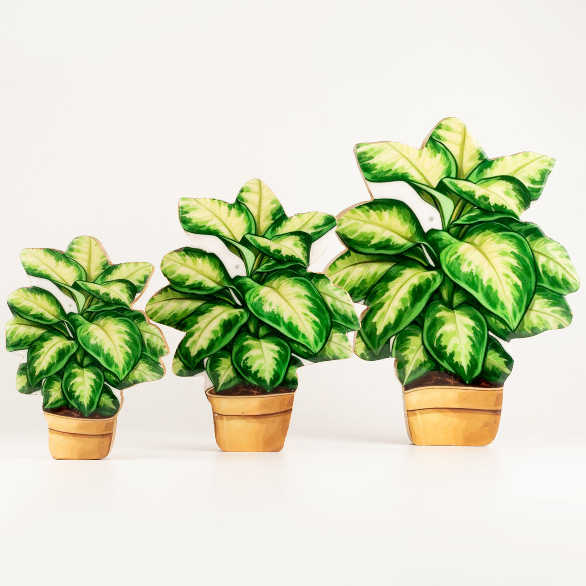 Plantas decorativas de madera - Mini planta de la selva