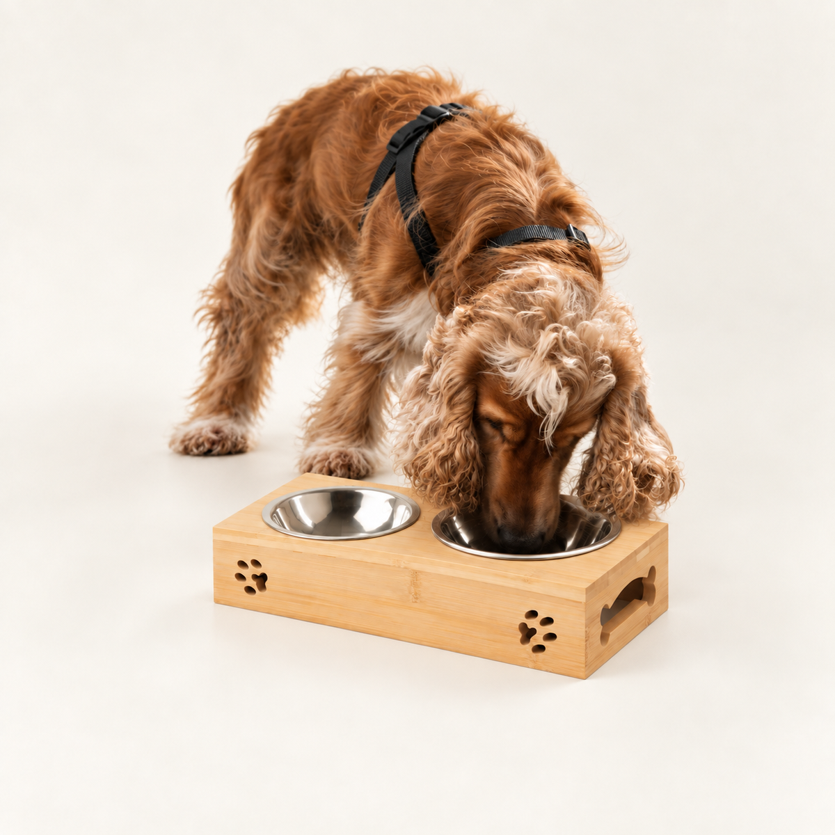 PAW Cuencos para comida - Doble acero inoxidable en soporte de madera - 2x12cm
