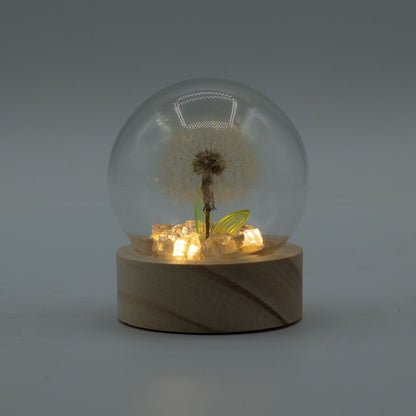 Gartenkuppel Floral Glow – 1 Löwenzahn – Batterie-LED