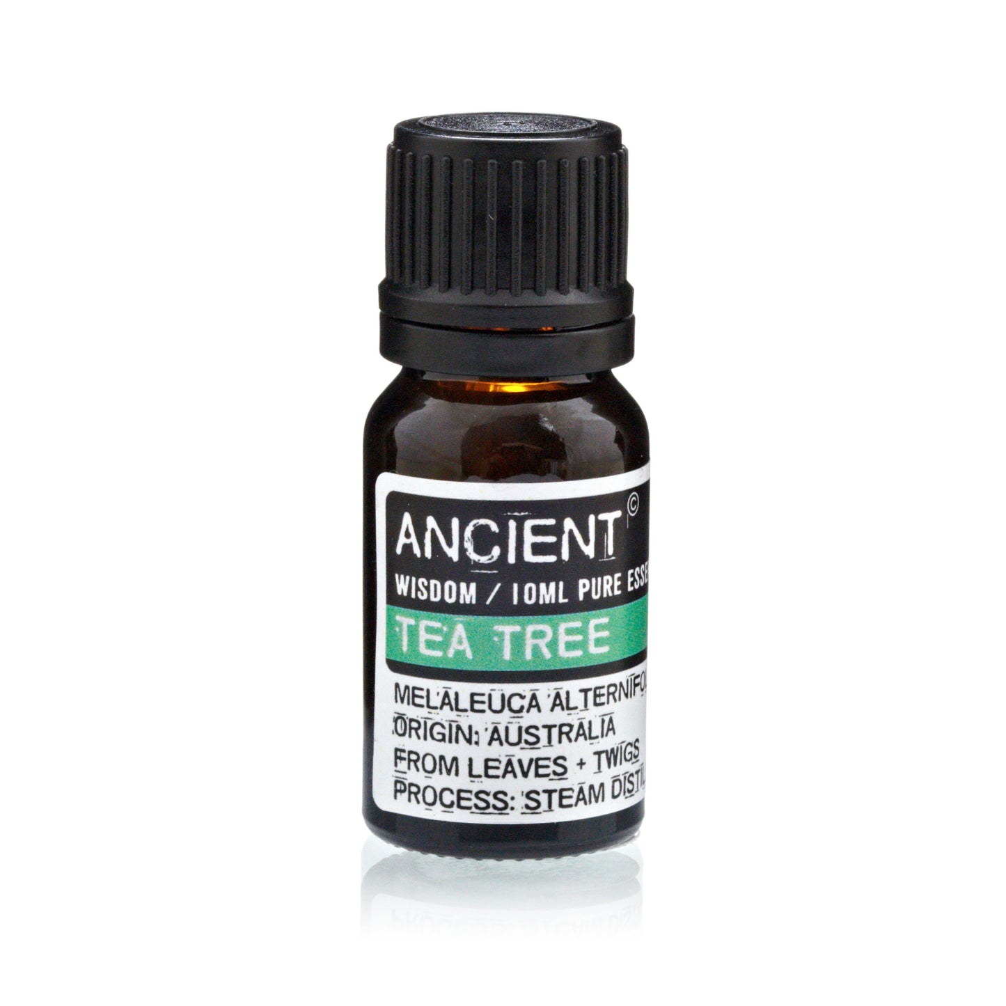 Wasserloses Aromatherapie-Set mit Doppelzerstäuber und 3 x 10 ml ätherischen Ölen