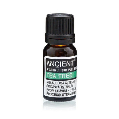Wasserloses Aromatherapie-Set mit doppeltem Vernebler und 3 ätherischen Ölen à 10 ml