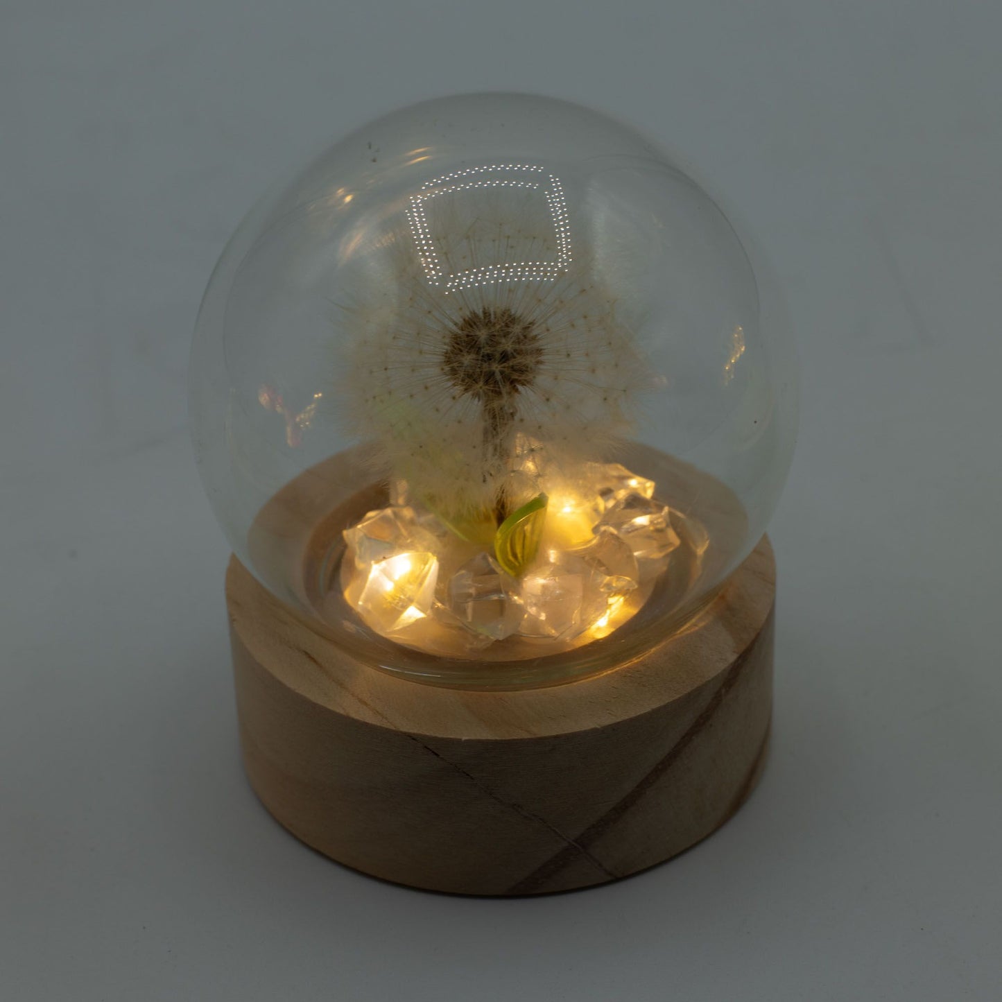 Gartenkuppel Floral Glow – 1 Löwenzahn – Batterie-LED
