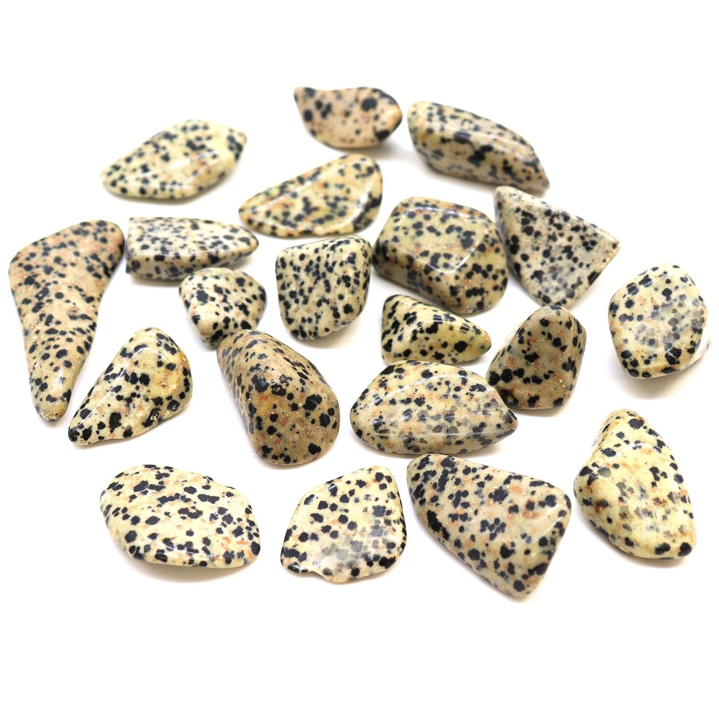 24 x L Tumble Stones - Dalmata