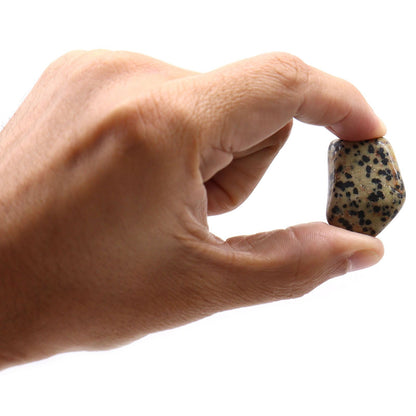24 x L Tumble Stones - Dalmata