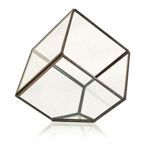 Terrario Vidrio Cubo en la Esquina