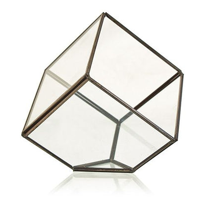Terrario Vidrio Cubo en la Esquina