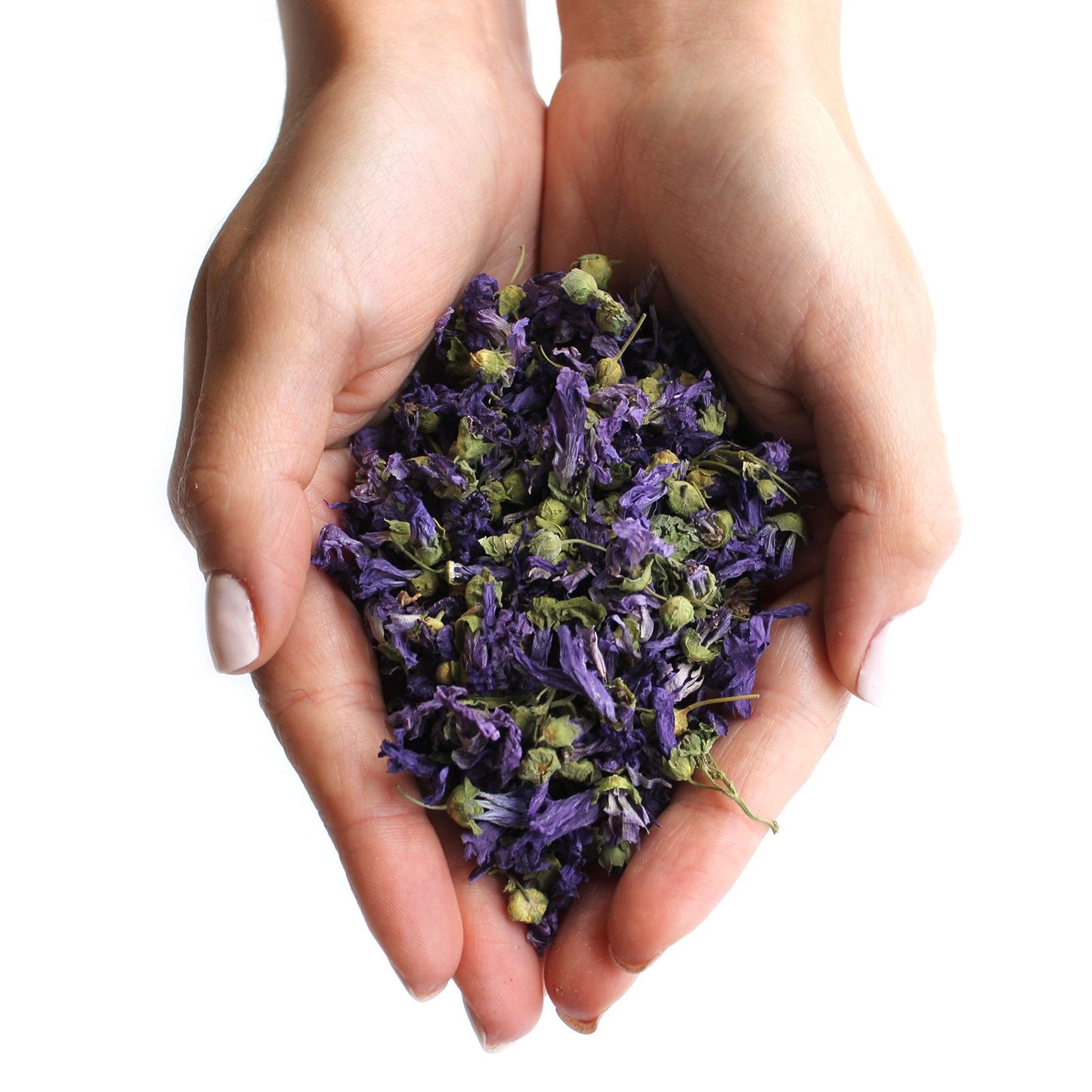 Fleurs de mauve bleues entières (0,5 kg)