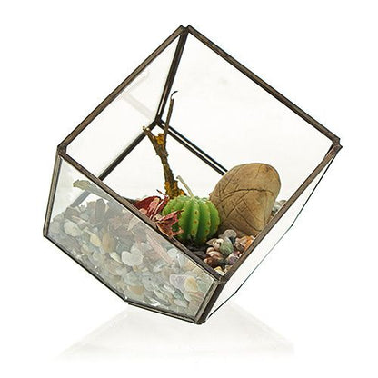 Terrario Vidrio Cubo en la Esquina