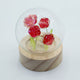 Domo de jardín Floral Glow - 5 rosas rojas - Batería LED
