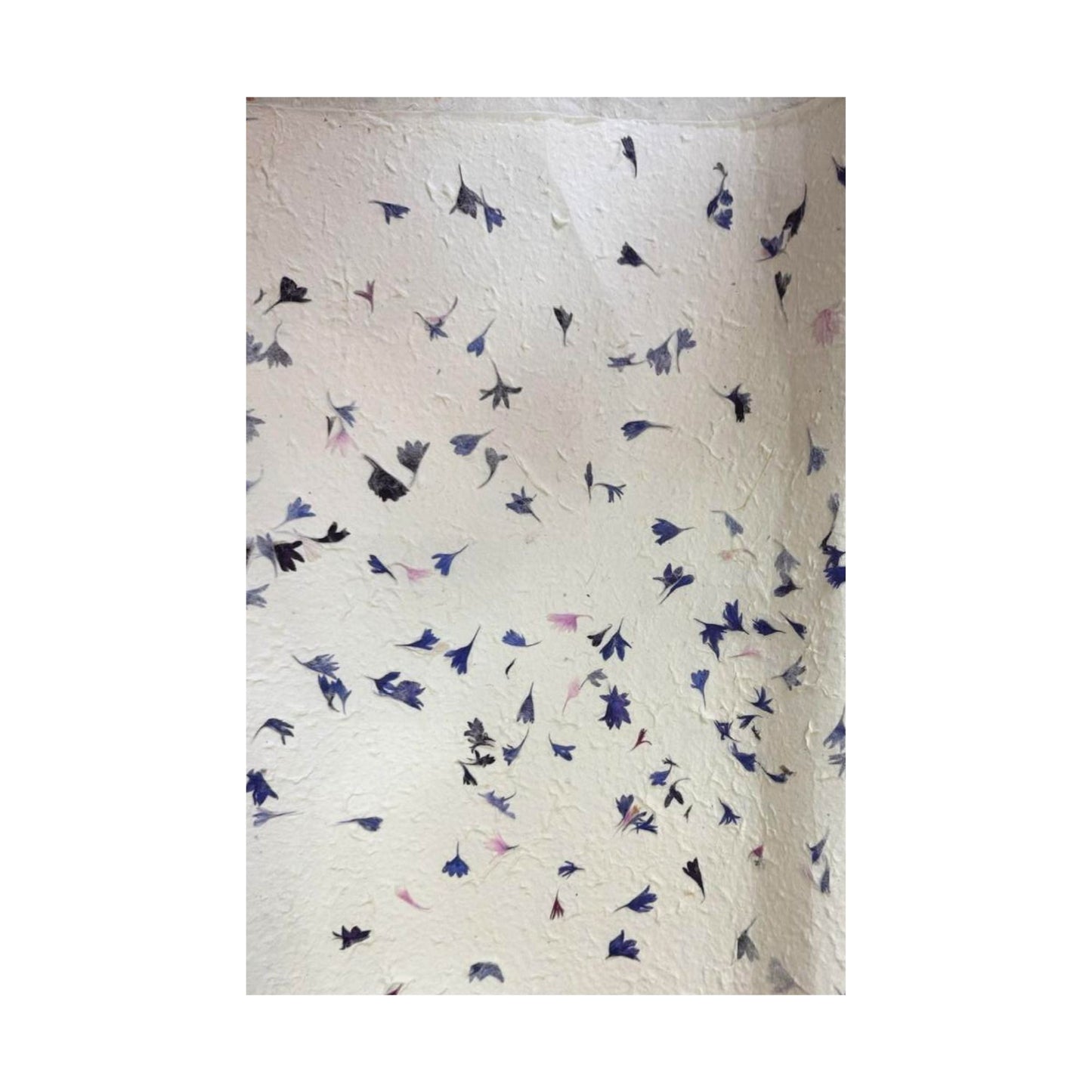 Papier cadeau fait main Lokta - Bleuet