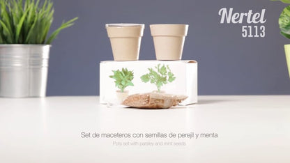 Set Macetas (lote de 50)